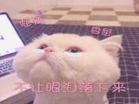 红谷滩区晓始百货店