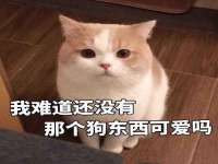 红谷滩区晓始百货店