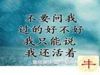 红谷滩区晓始百货店