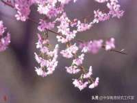 红谷滩区晓始百货店