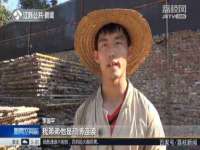 红谷滩区晓始百货店