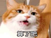 红谷滩区晓始百货店