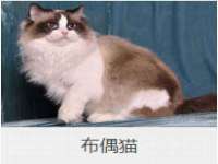 红谷滩区晓始百货店
