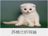 红谷滩区晓始百货店