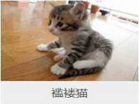 红谷滩区晓始百货店