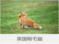 红谷滩区晓始百货店