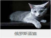 红谷滩区晓始百货店