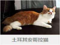 红谷滩区晓始百货店