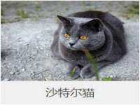 红谷滩区晓始百货店