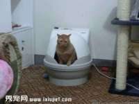 红谷滩区晓始百货店