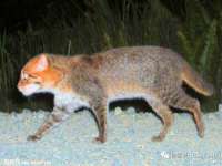 红谷滩区晓始百货店