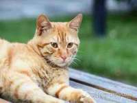 红谷滩区晓始百货店