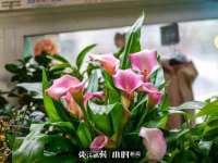 红谷滩区晓始百货店