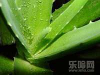 红谷滩区晓始百货店