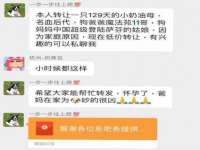 红谷滩区晓始百货店