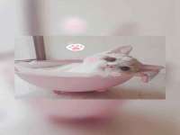 红谷滩区晓始百货店