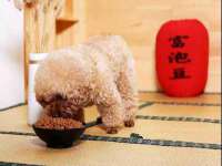 红谷滩区晓始百货店