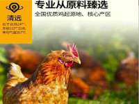 红谷滩区晓始百货店