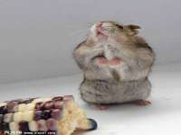 红谷滩区晓始百货店