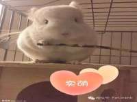 红谷滩区晓始百货店