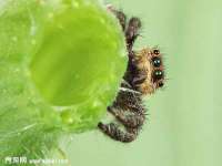 红谷滩区晓始百货店