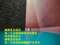 红谷滩区晓始百货店