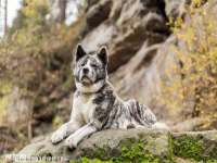 红谷滩区晓始百货店