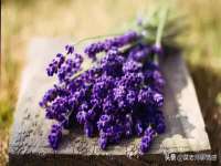 红谷滩区晓始百货店