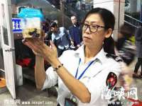 红谷滩区晓始百货店