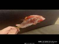 红谷滩区晓始百货店
